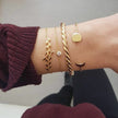 Crystal Charm Bracelet Set